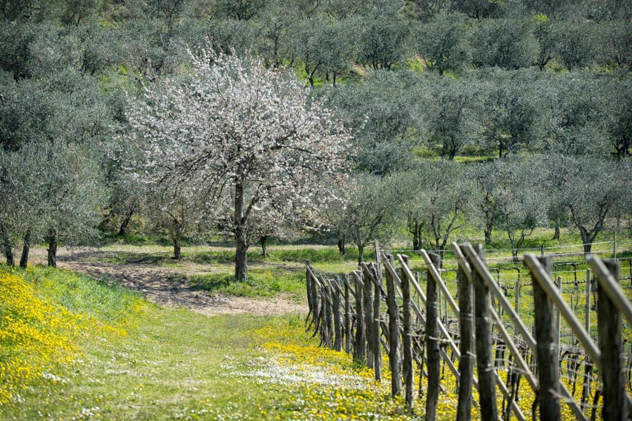 Terme Preistoriche Resort & Spa 4* Montegrotto Terme